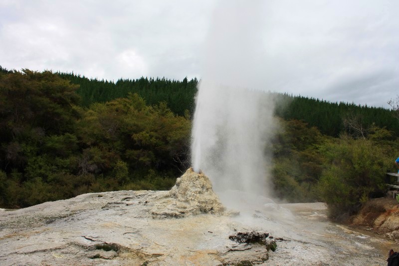 Okolí města Rotorua – geotermální aktivity