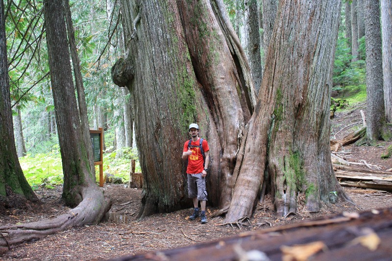 Říjen – Ancient Cedars, Thanksgiving party