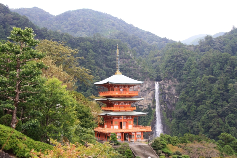 Kumano Kodo – po stopách poutníků