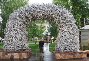 Grand Teton NP a Jackson