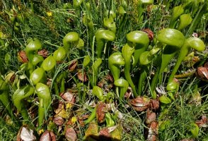 104. den na PCT – 1 143 mil do Kanady